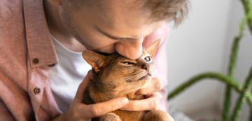 10 прости начина да бъдем по-добри собственици на котката ни