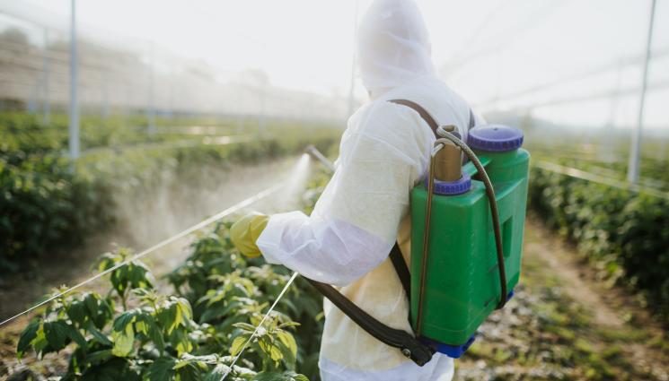 пестициди пръскане - Агро Телеграф: Пестициди пълни с вечни химикали