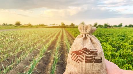 земеделие пари печалба