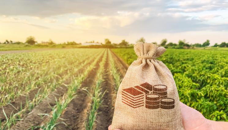 земеделие пари печалба - БОГАТ УРОЖАЙ: 266 милионери в земеделието!