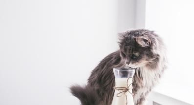 бадемово мляко