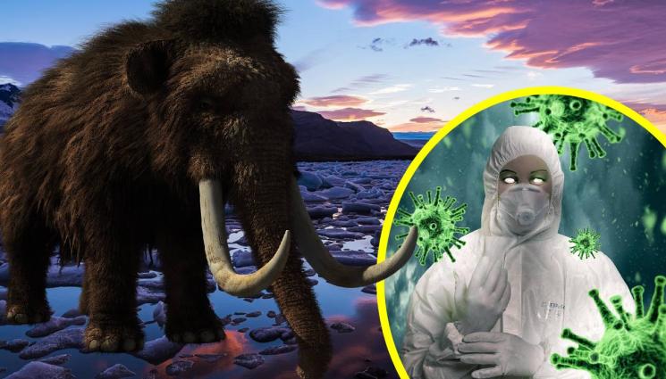 мамут вируси ледници - СМРАЗЯВАЩО ПРЕДУПРЕЖДЕНИЕ! Смъртоносни пандемии дебнат от Аляска и Сибир!(СНИМКИ+ВИДЕО)