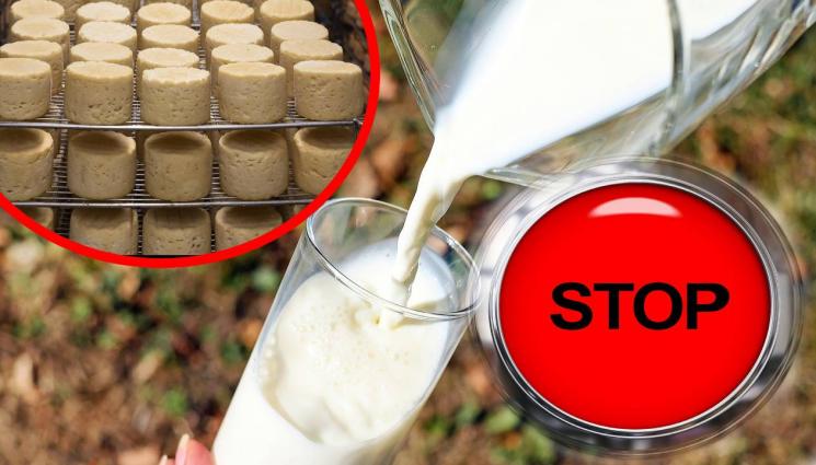 стоп мляко - НА СУХО: Голям български град остана без мляко