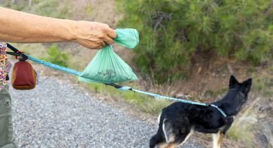 куче изхождане