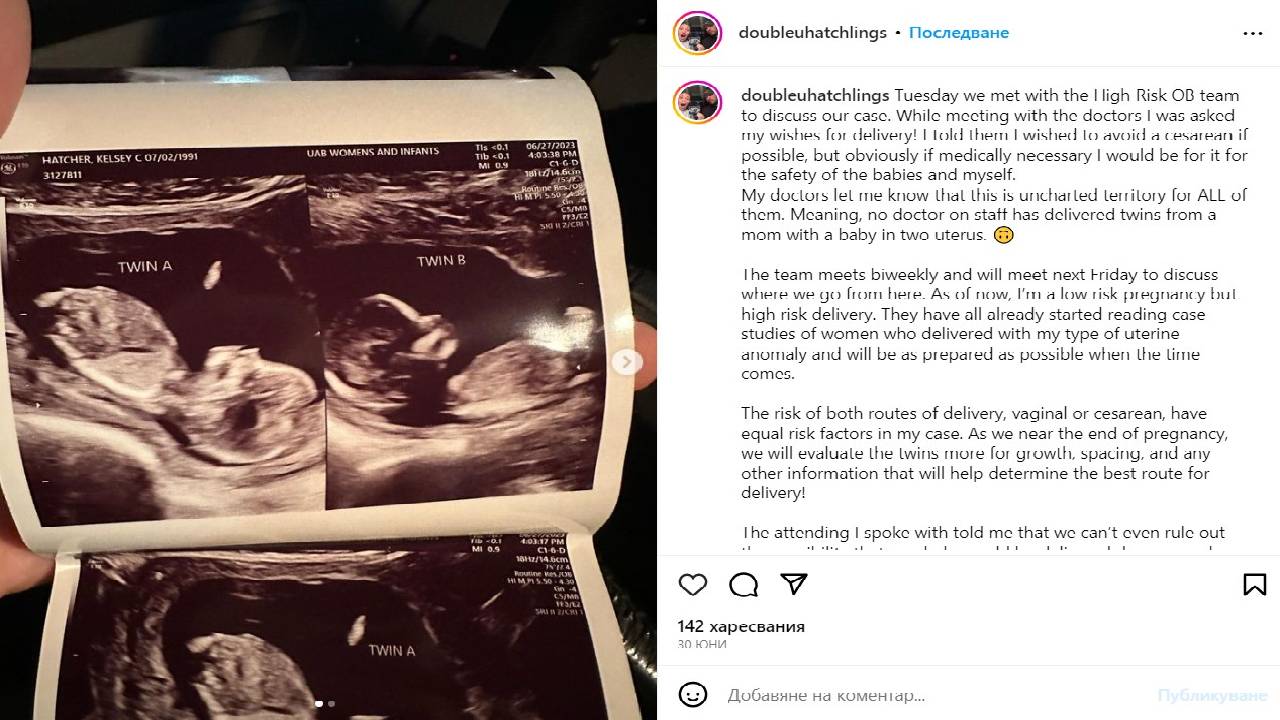 две матки с две бебета