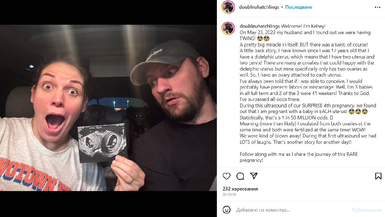 две матки с две бебета