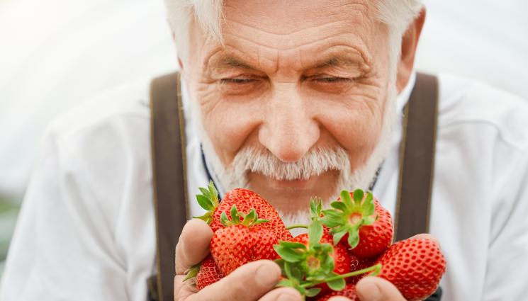 ягоди - ВКУСНО И ПОЛЕЗНО: Ягодите – пръв приятел на мозъка