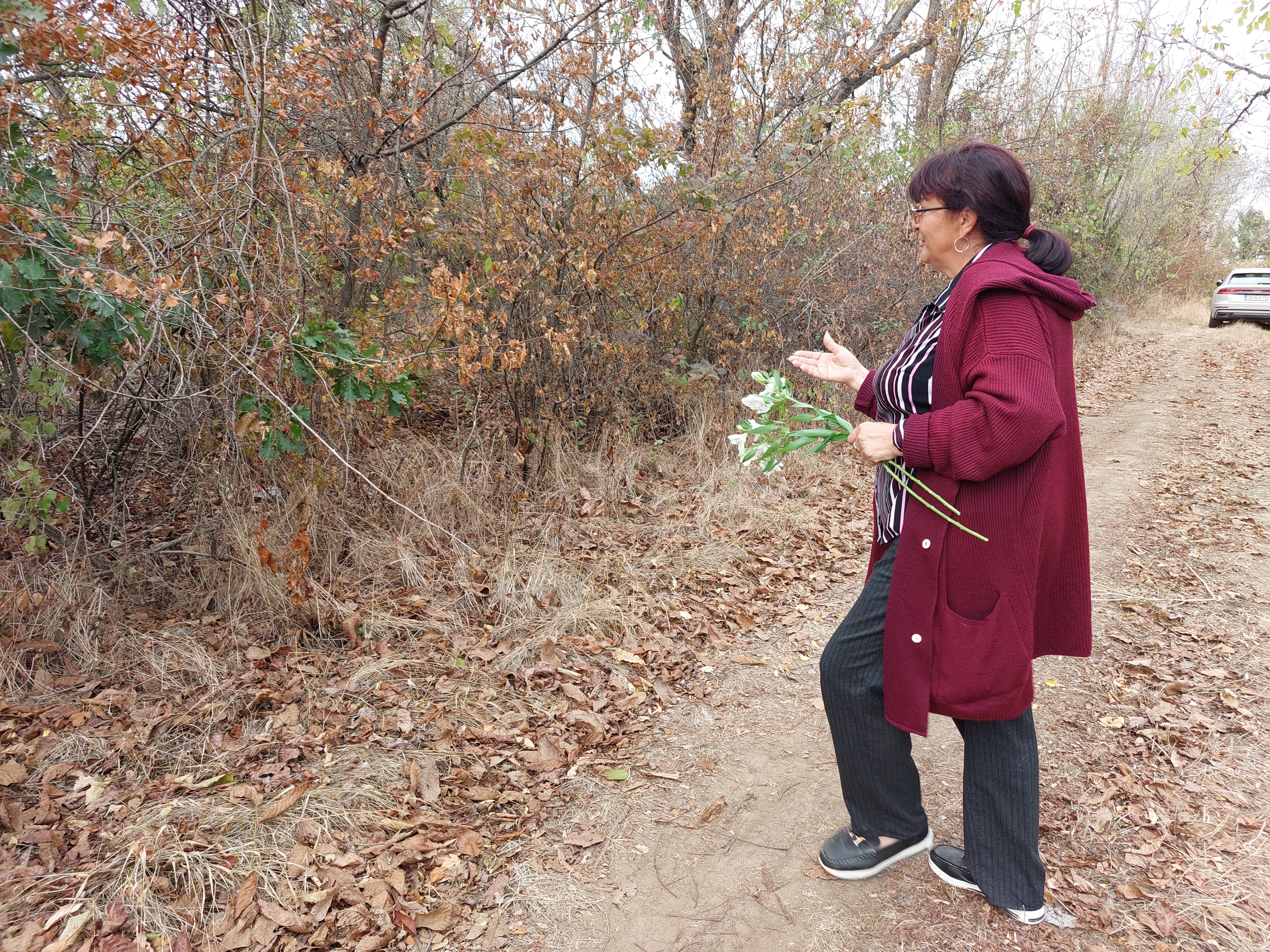 румен жерев