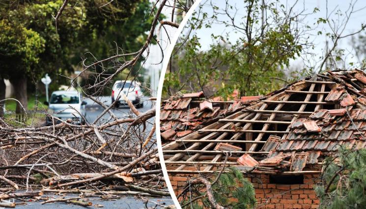 вятър - СЛЕД УРАГАНА: Дават по 1512 лева на 450 домакинства