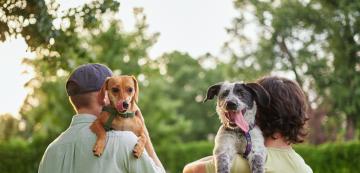 6 основни неща, които трябва да знаете за поведението на кучетата