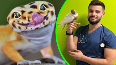 др Йоан Славчев