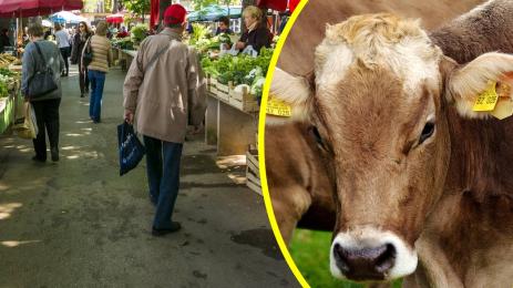 пазар крава