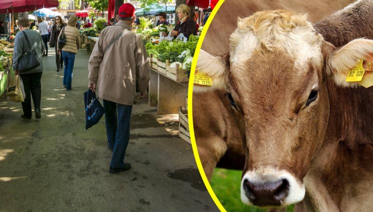 пазар крава - РАЗХЛАБВАТ МЕРКИТЕ: По-лесно търгуваме по пазарите