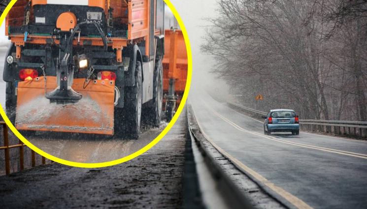 снегорин път