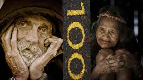 столетници