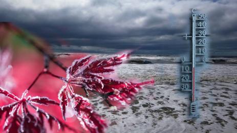 времето студ