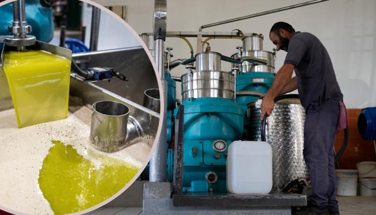 ОЛИО - СЛЕД РЕКОРДНО ПОСКЪПВАНЕ: Нашенци в схеми за фалшив зехтин