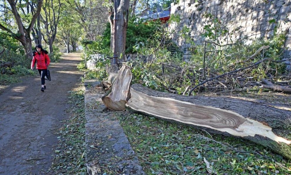 Варна постепенно влиза в нормалния си ритъм на живот след