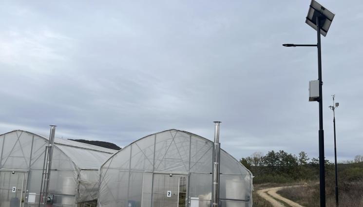 агро - Агро Телеграф: Оранжерии от бъдещето в Лик