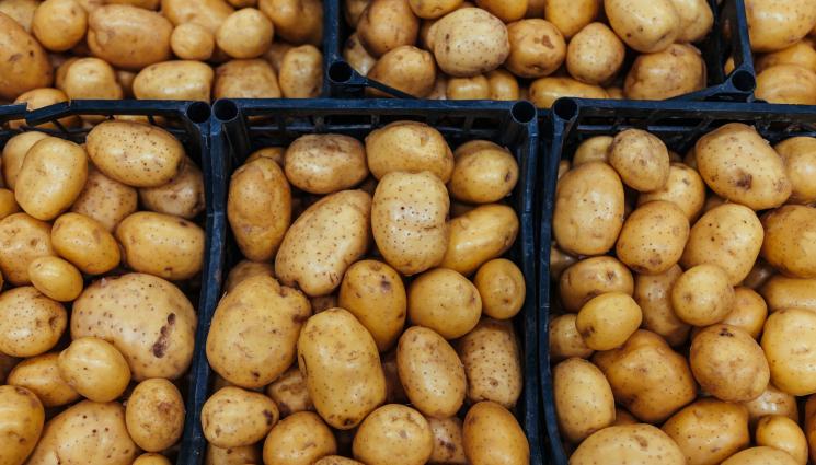 картофи - Агро Телеграф: Тровят ни с „мити“ зеленчуци, отглеждани в разтвори