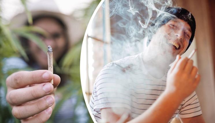 марихуана - СКАНДАЛ: Тревомани скочиха срещу клип против дрогата!