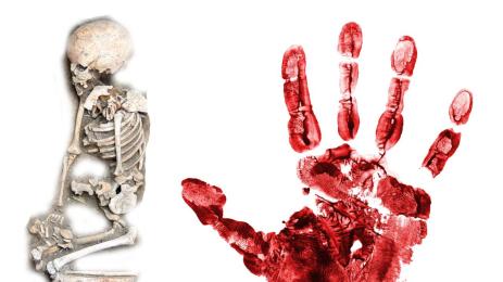 скелет кръв