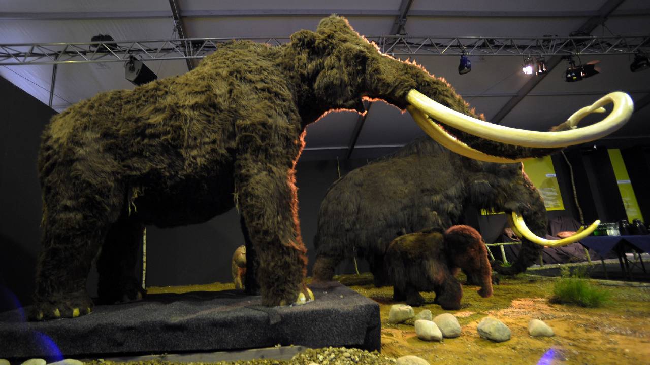 джурасик парк