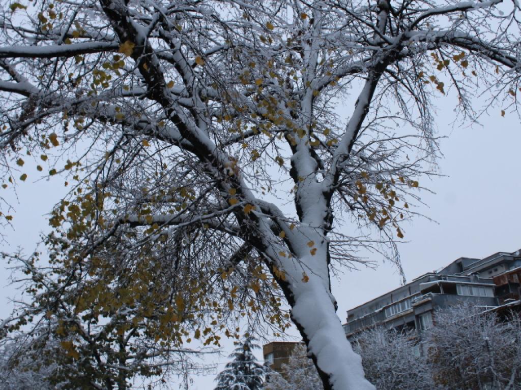 Бедствено положение е обявено в област Разград заради усложнената зимна