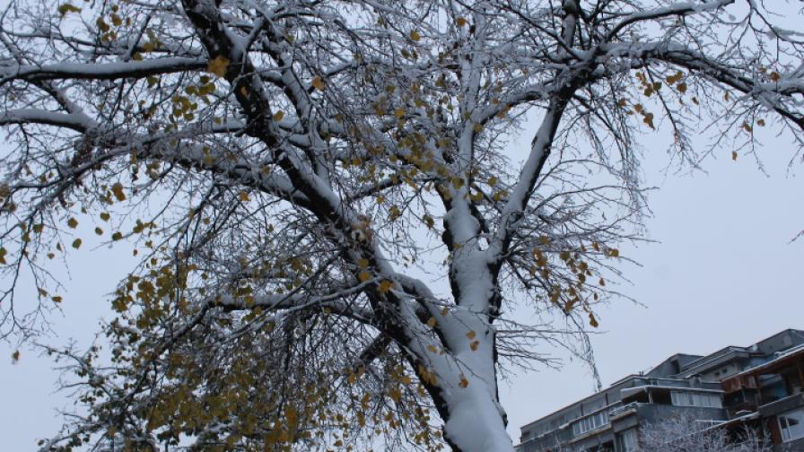 Заради снега: Бедствено положение в 4 области, затрупани пътища и липса на ток