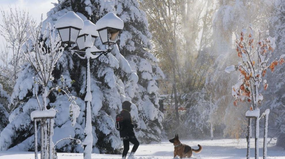 Сняг вали на 500 км от София (СНИМКИ)