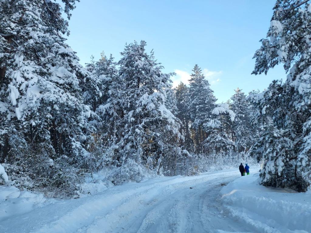 Снеговалежът остави десетки населени места без ток в Родопите Огромна