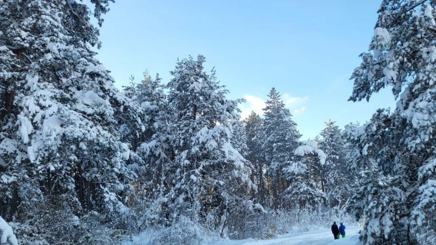 Обилен снеговалеж в Благоевградско: Ограничения по пътищата в района