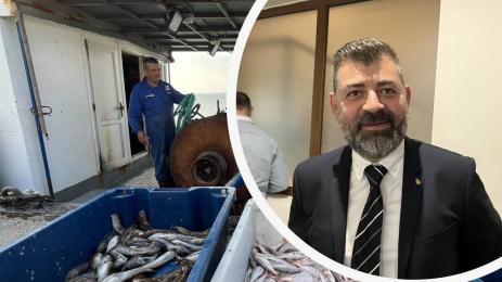 Стоян Котов