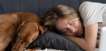 Знаят ли кучетата кога хората спят?