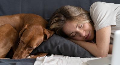 куче човек спи