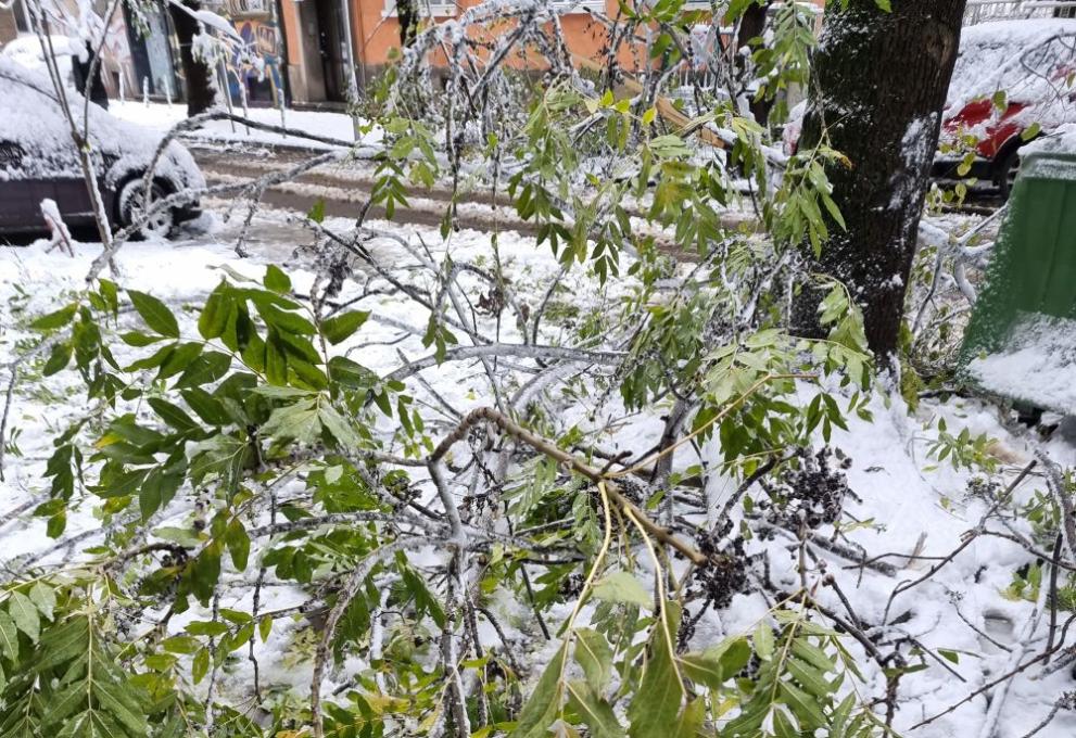 Усложнената зимна обстановка на територията на област Русе се нормализира
