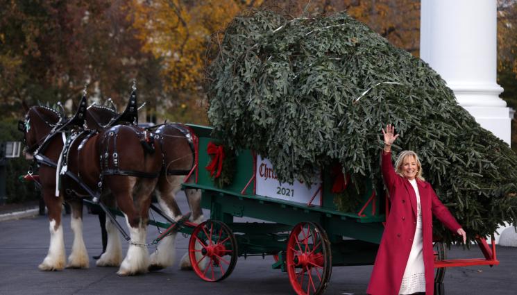 елха - РАЗВАЛИ СЕ КОЛЕДНИЯ ДУХ: Падна елхата пред Белия дом