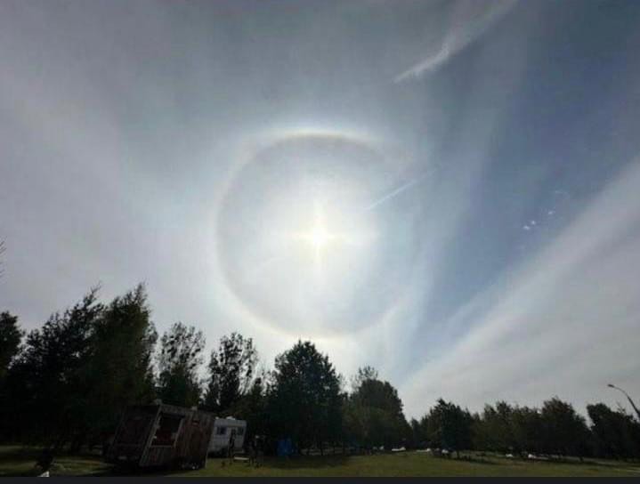 Зофия Шчербак