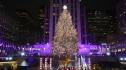 50 000 светлини: Коледната елха на Рокфелер център засия в Ню Йорк (СНИМКИ)