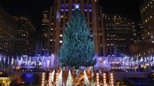 Коледното дърво за „Рокфелер център“ отпътува към Ню Йорк