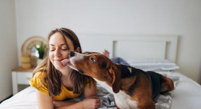 куче сутрин