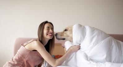 куче сутрин