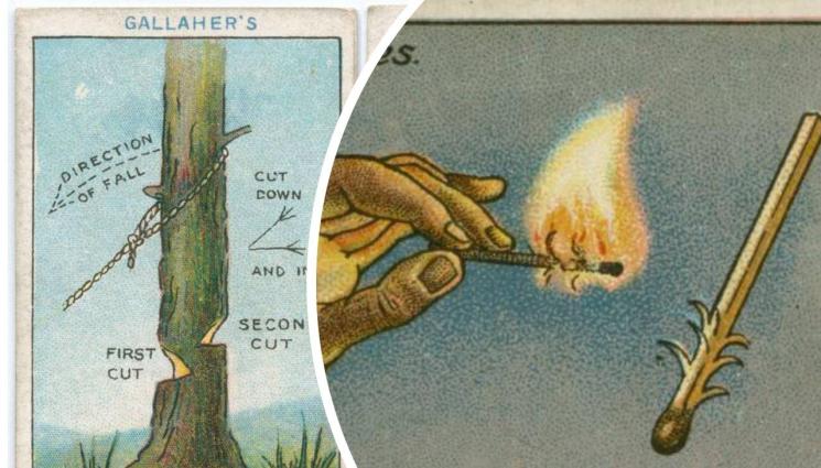 хитрости - ТРИКОВЕ СЪС 100-ГОДИШНА ДАВНОСТ: Как да се опазим  от пес с оголени зъби