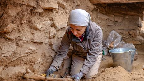 Анадолска агенция