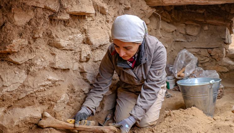 Анадолска агенция - Намериха при разкопки следи от мозъчни операции върху скелети