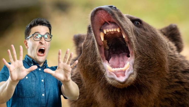 мечка - КОШМАР: Мъж отряза едната си ръка, за да избяга от подивяла мечка!