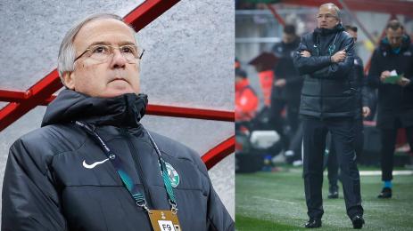 Дерменджиев Търнава