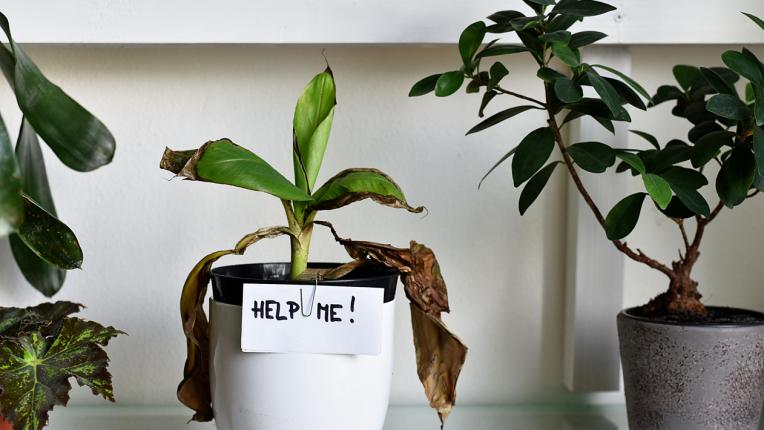  Не правете тези 6 неща, тъй като притеглят безпаричие и приблеми 