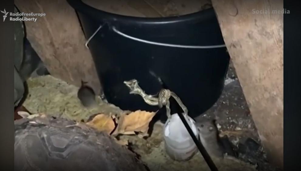 Шеф готвачът Констянтин се изправя пред нови предизвикателства. Той сменя