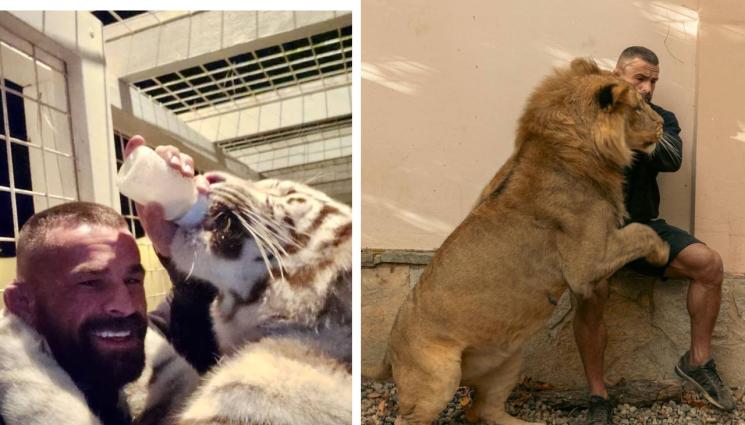 Карлос Вемола - Отнемат на боец домашния му тигър